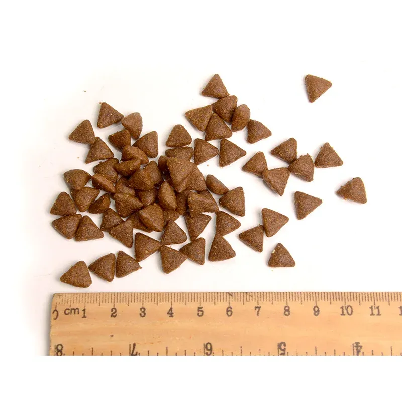 &lt;trp-post-container data-trp-post-id=&#039;20682&#039;&gt;The Future of Dog Nutrition&lt;/trp-post-container&gt;