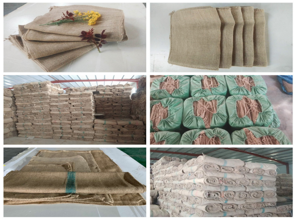 bentonite clay cat litter exporter
